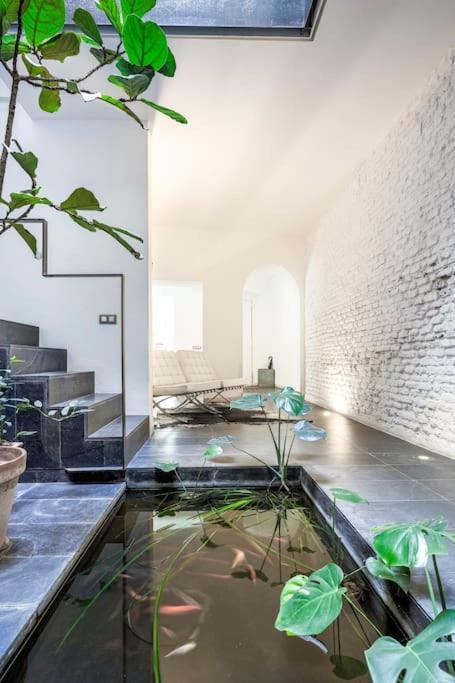 Exclusivo Apartamento De Diseno Centro Sevilla Matahacas Bajo ภายนอก รูปภาพ