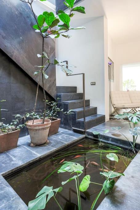 Exclusivo Apartamento De Diseno Centro Sevilla Matahacas Bajo ภายนอก รูปภาพ