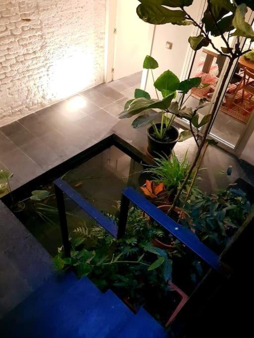 Exclusivo Apartamento De Diseno Centro Sevilla Matahacas Bajo ภายนอก รูปภาพ